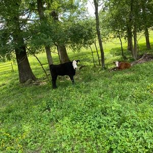 Meet your Posher, Jayme